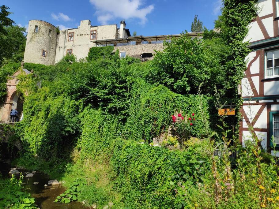 Das Hideaway Zum Seele Baumeln Lassen ! Bad Muenstereifel Extérieur photo
